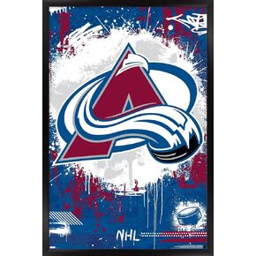 Trends International NHL Colorado Avalanche - Maximalist Logo 23 Wall Poster, 14.72" x 22.37", Black Framed Version