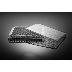 Nest Scientific 701011 96 Well Cell Culture Plate, Flat, Non-Treated, sterile 1/pk, 100/cs