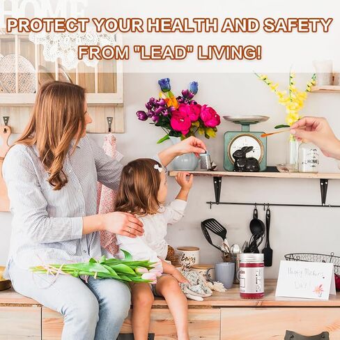 Lead Test Kit for Dishes, 60 Pcs Rapid Lead Test Swabs, Dip in Water Lead Testing Kit, Lead Paint Test Kit Home Use for All Surfaces, Results in 30 Seconds in Saudi Arabia