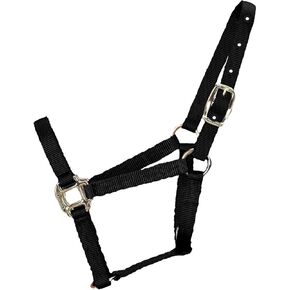 Hamilton 3/4-Inch Nylon Quality Horse Halter, Weanling or Large Pony, 200-300-Pound, Blue