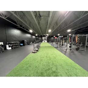 Sled Strips | Premium Gym Turf Rolls Perfect for Home Gyms and Indoor Sports Facilities, Designed for Sled Push/Pulls - Many Sizes (Green) in Kuwait