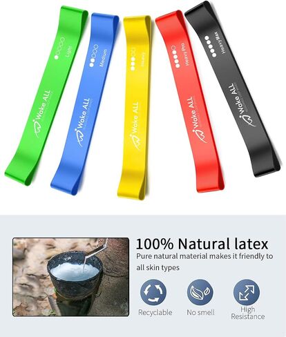 Resistance Bands, Resistance Loop Exercise Bands with Instruction Guide and Carry Bag, Exercise Workout Bands for Women and Men, 5 Sets of Stretch Bands for Booty Legs, Pilates Flexbands in Saudi Arabia