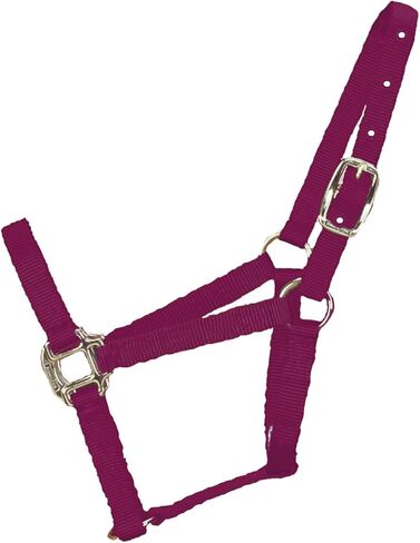 Hamilton 3/4-Inch Nylon Quality Horse Halter, Weanling or Large Pony, 200-300-Pound, Blue in Saudi Arabia
