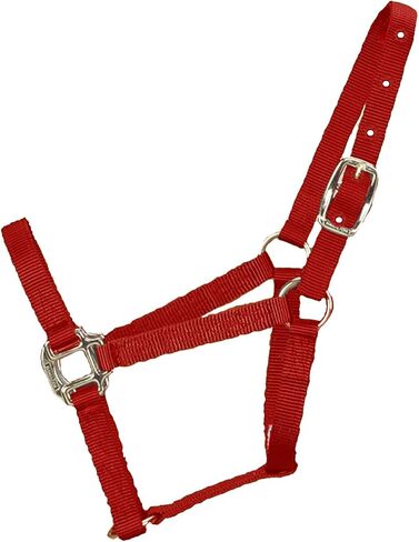 Hamilton 3/4-Inch Nylon Quality Horse Halter, Weanling or Large Pony, 200-300-Pound, Blue in Saudi Arabia