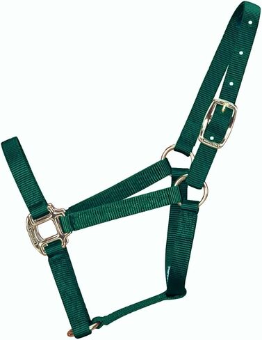 Hamilton 3/4-Inch Nylon Quality Horse Halter, Weanling or Large Pony, 200-300-Pound, Blue in Saudi Arabia