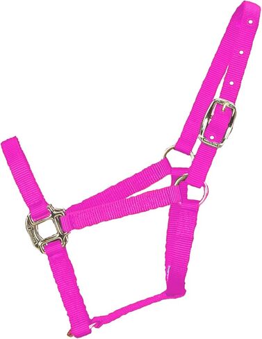 Hamilton 3/4-Inch Nylon Quality Horse Halter, Weanling or Large Pony, 200-300-Pound, Blue in Saudi Arabia