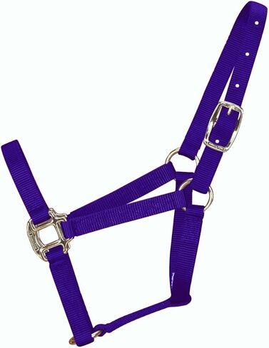 Hamilton 3/4-Inch Nylon Quality Horse Halter, Weanling or Large Pony, 200-300-Pound, Blue in Saudi Arabia