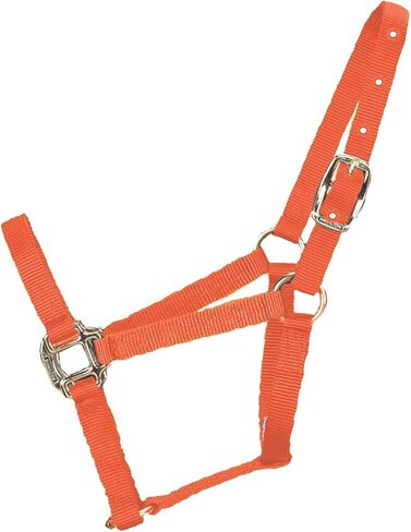 Hamilton 3/4-Inch Nylon Quality Horse Halter, Weanling or Large Pony, 200-300-Pound, Blue in Saudi Arabia