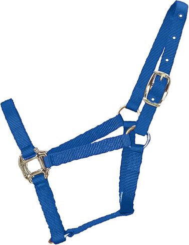 Hamilton 3/4-Inch Nylon Quality Horse Halter, Weanling or Large Pony, 200-300-Pound, Blue in Saudi Arabia