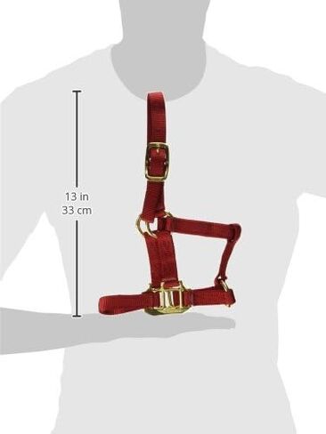 Hamilton 3/4-Inch Nylon Quality Horse Halter, Weanling or Large Pony, 200-300-Pound, Blue in Saudi Arabia