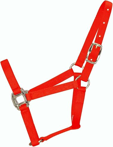 Hamilton 3/4-Inch Nylon Quality Horse Halter, Weanling or Large Pony, 200-300-Pound, Blue in Saudi Arabia