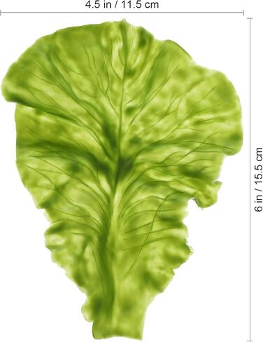 Garneck 3PCS Artificial Lettuce Leaves - Fake Vegetables Leaf - 1:1 Reproduction of Simulated Vegetable Models for Home Kitchen Food Playset Display Window Photography Props in Saudi Arabia