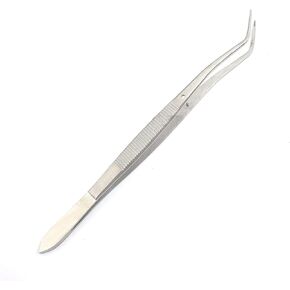 OdontoMed2011® Meriam Foil Dental Cotton Tweezer Serrated Angled Beak Dressing Pliers Tip Stainless Steel Dentist-Instruments 6" (15 cm) ODM