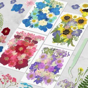 Pressed Flowers for Crafts, Dried Flower Natural Herbs Pressed for Scrapbooking Greeting Card DIY Bookmark Resin Epoxy Accessories Nails Decor Soap and Candle Making 134Pcs