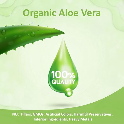 Aloe-Vera Pure-Gels Mini-Softgel Vegetarian-Supplement - 120Capsules Organic Aloe Vera Highly Concentrated Aloe Leaf Supplement for Digestive Support Non-GMO in Saudi Arabia