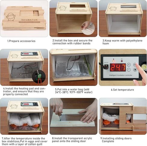 حاضنات لتفريخ البيض DIY 9 بيضات حاضنة رقمية مع شمع LED، التحكم في درجة الحرارة، فقاسة بيض خشبية للدجاج الحمام والبط والأوز والببغاء السمان in Kuwait