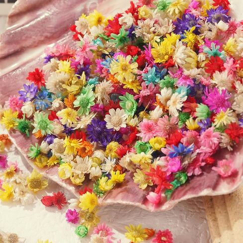 420 قطعة من الزهور المجففة، زهور مجففة صغيرة لإكسسوارات الراتنج المصنوعة من الراتنج، زهور طبيعية مجففة صغيرة لصنع الشموع، فن الأظافر، أقراط المجوهرات الإيبوكسي. in Kuwait