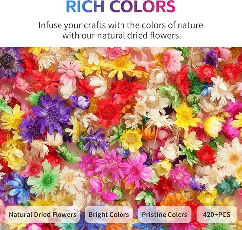 420 قطعة من الزهور المجففة، زهور مجففة صغيرة لإكسسوارات الراتنج المصنوعة من الراتنج، زهور طبيعية مجففة صغيرة لصنع الشموع، فن الأظافر، أقراط المجوهرات الإيبوكسي. in Kuwait