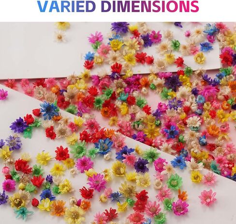 420 قطعة من الزهور المجففة، زهور مجففة صغيرة لإكسسوارات الراتنج المصنوعة من الراتنج، زهور طبيعية مجففة صغيرة لصنع الشموع، فن الأظافر، أقراط المجوهرات الإيبوكسي. in Kuwait