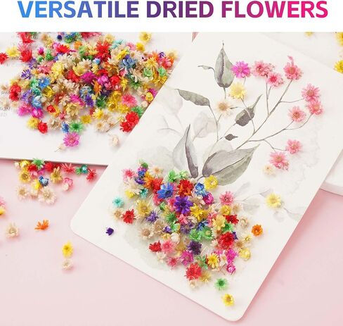 420 قطعة من الزهور المجففة، زهور مجففة صغيرة لإكسسوارات الراتنج المصنوعة من الراتنج، زهور طبيعية مجففة صغيرة لصنع الشموع، فن الأظافر، أقراط المجوهرات الإيبوكسي. in Kuwait
