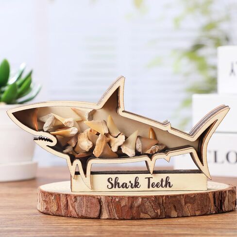 Yousoontic Shark Tooth Display Case Shark Teeth Shadow Box Collection Wood Shark Teeth Holder Gifts for Vacation Beach Home Decor (6 x 3 Inch) in Saudi Arabia