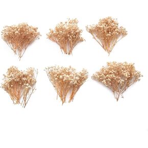 100pcs Mini Pink Dried Baby Breath Flower Pink Dried Flower for Crafts Press Flowers Wedding Wreath Decoration Gift Card Decor Floral