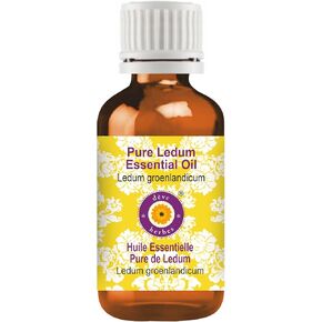 Deve Herbes Pure Ledum Essential Oil (Ledum groenlandicum) Steam Distilled 10ml (0.33 oz)