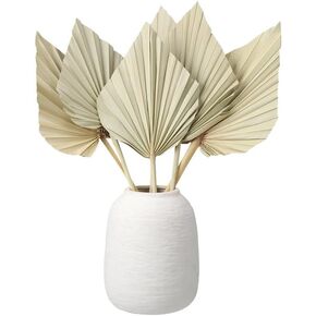 6 Pcs Small Boho Dried Palm Fans,Natural Dried Palm Spears Leaves with Stem Bohemian Dried Flower Bouquet Tropical Palm for Boho Wedding Vase Table Decor