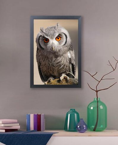 إطار صورة أسود مقاس 10 × 15 للطباعة مقاس 10 × 15 بوصة، وإطار ملصق خشبي مقاس 10 × 15 بما في ذلك أدوات التعليق (F22B1015) in Kuwait