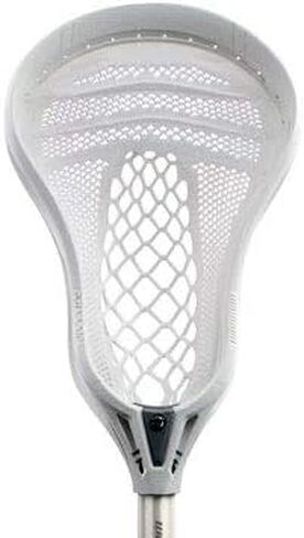 EVO WARP COMPLETE in Kuwait