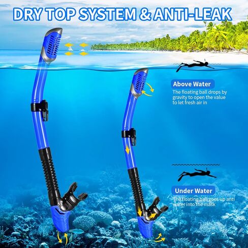 Snorkeling Gear for Adults, Snorkel Mask Adult Snorkel Set, Dry Top Snorkeling Gear for Adults, 180°Panoramic Wide View Anti-Fog Tempered Glass Scuba Diving Mask for Snorkeling Swimming Travel in Saudi Arabia