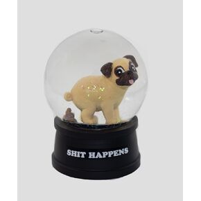 Have a Nice Day Snow Globe | Funny Joke Gift Perfect for Anyone | Hand Painted, Made from Glass and Poly Resin Material | 4.5x2.75 Inches, 15 Ounces