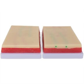 2 Pack Venipuncture IV Injection Training Pad Model, Silicone Human Skin Suture Training Model, Injection practice Pad，4 Veins Imbedded, 3 skin layers
