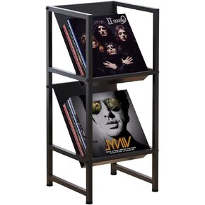 Conceptual Design Vinyl Record Storage, 2 Tier Black Metal Record Holder, Stylish Storage Solution for Your Collection