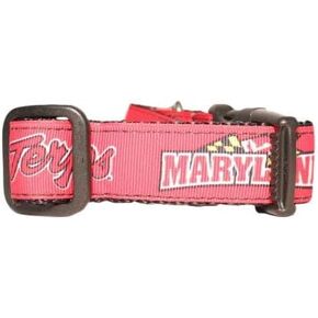 NCAA Maryland Terrapins Dog Collar (Team Color, Large)