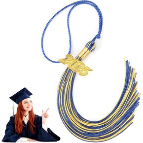 Graduation Tassel 2025, Gold Tassels for Graduation Cap 2025 with Gold 2025 Tassel Charm, 2025 Tassel Graduation, Grad Hat Decorations Grad Gifts Grad Tassel, Graduation Decorations Class of 2025 Gold