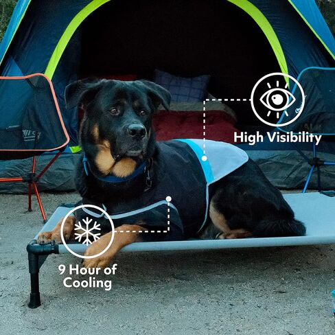 ZippyPaws Adventure Canine Cooling Vest - High Visibility, Reflective Safety, Absorbent Polymer Crystals for Extended Cooling, Comfortable & Adjustable - Pink, Small in Saudi Arabia