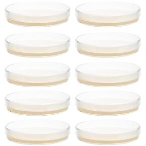 10 قطع من طبق بيتري مع أجار، أطباق أجار مصبوبة مسبقًا، أطباق بيتري، أطباق زراعة الأنسجة مع أغطية، لوازم التجارب العلمية، 10 قطع من كليسبيد in Kuwait