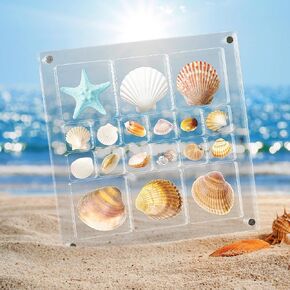 Acrylic Magnetic Seashell Display Box, 5.6x5.6in Large Size Seashell Storage Box Decorative Box for Seashell Starfish Trinket, Small Craft Organizers Display Case for Bead, Nail, Jewelry (18 Grids) in Saudi Arabia