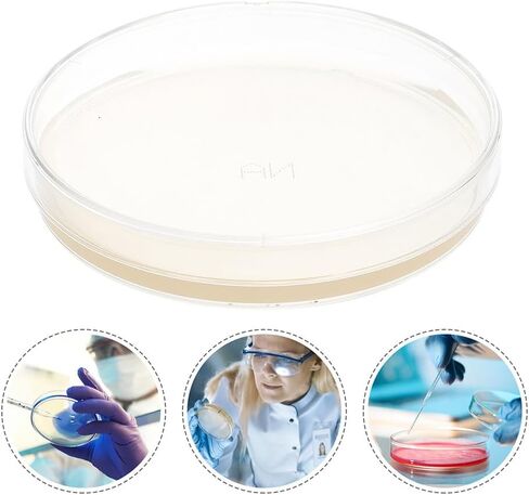 10 قطع من طبق بيتري مع أجار، أطباق أجار مصبوبة مسبقًا، أطباق بيتري، أطباق زراعة الأنسجة مع أغطية، لوازم التجارب العلمية، 10 قطع من كليسبيد in Kuwait
