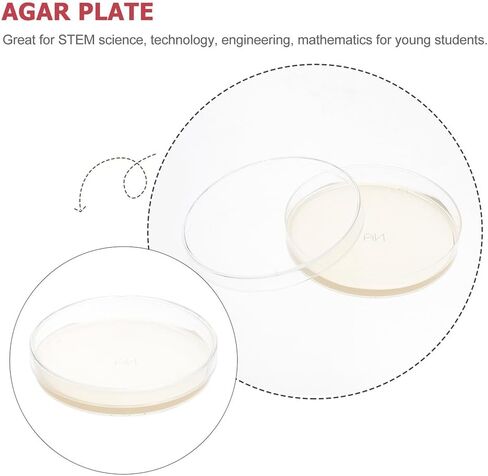 10 قطع من طبق بيتري مع أجار، أطباق أجار مصبوبة مسبقًا، أطباق بيتري، أطباق زراعة الأنسجة مع أغطية، لوازم التجارب العلمية، 10 قطع من كليسبيد in Kuwait