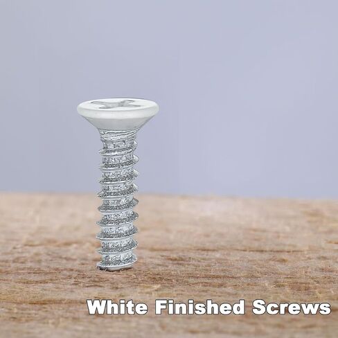#6 X 1/2 Inch Stainless Steel Self-Tapping Wood Screw Set, Suitaple for Home Renovation, Furniture Assembly, and Wood Working Projects, White Head, 100 Pack, 3514WS-WH-100 in Saudi Arabia