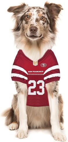 NFLPA Tom Brady PET Jersey، NFL Dog Shirt، مقاس صغير، Tampa Bay Buccaneers Mesh Jersey للكلاب in Saudi Arabia