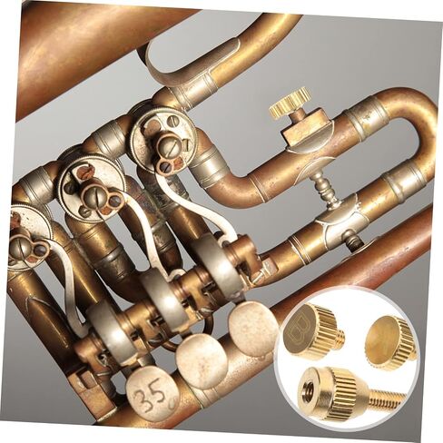 1 Set Sax Screw Replacement Tightening Screw for Sax Instrument Part Sax Repair Parts Sax Part Micro Usb Sax Accessory Tenor Saxophone Instrument Repair Tool Soprano Sax Neck Metal in Saudi Arabia