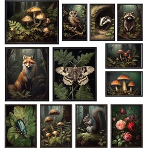 97 Decor Cottagecore Room Decor Aesthetic - Cottage Core Wall Decor, Dark Cottagecore Decor, Vintage Botanical Wall Art Print, Nature Mushroom Poster Animal Pictures for Bedroom (UNFRAMED)