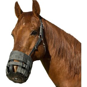 Best Friend Deluxe Leather Crown Grazing Muzzle - Horse Muzzle with Attached Horse Halter, Adjustable, Breakaway, Lightweight, Ventilated, for Controlled Grazing - Dark Grey, Horse Size