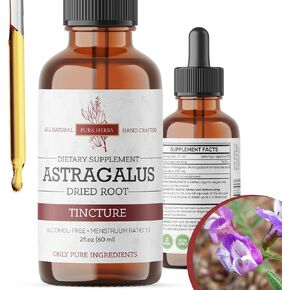 Astragalus Root Extract Tincture, Alcohol Free, Vegan - 2 Fl Oz