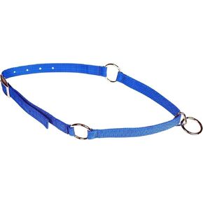Mustang Neck Collar
