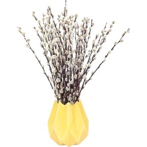 40 ينبع 17.5 بوصة فروع الصفصاف المجففة الحقيقية للمزهرية صفصاف الهرة البيضاء صفصاف الثلج الزهور المجففة صفصاف الهرة لديكورات المنزل، الزفاف، ساحة الموقد in Kuwait