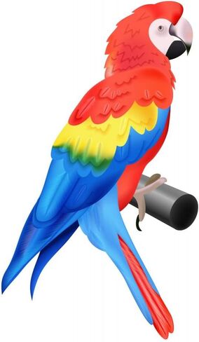 ملصق حائط ملون للببغاء المكاو قابل للتقشير واللصق (12 بوصة ارتفاع × 8 بوصة عرض) WM93206 in Kuwait